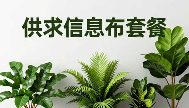 提升技术适配效率的关键流程优化策略